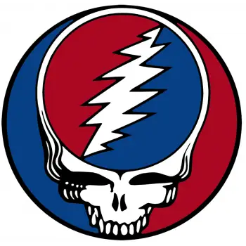 Jerry Garcia Grateful Dead Steal Your Face T Shirt Iron on Transfer  Decal 