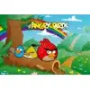 Angry Birds  T Shirt Iron on Transfer  Decal  #78