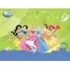 Disney Princess Easter T Shirt Iron on Transfer Decal #30