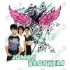 Jonas Brothers T Shirt  Iron on Transfer Decal  #3