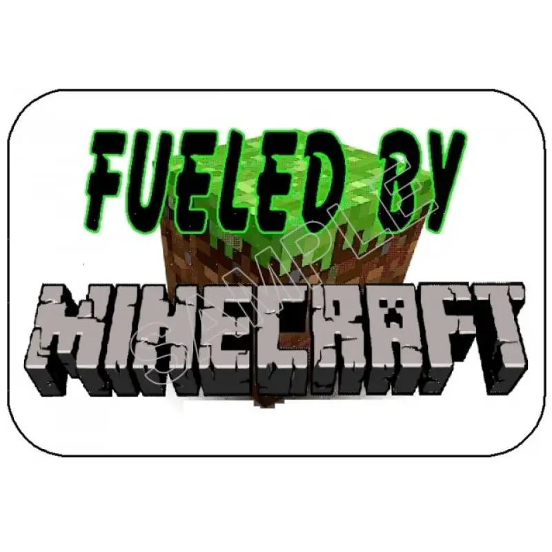 Minecraft  T Shirt Iron on Transfer  Decal  #19