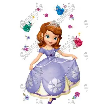 Sofia the  First Princess T Shirt Iron on Transfer Decal #16