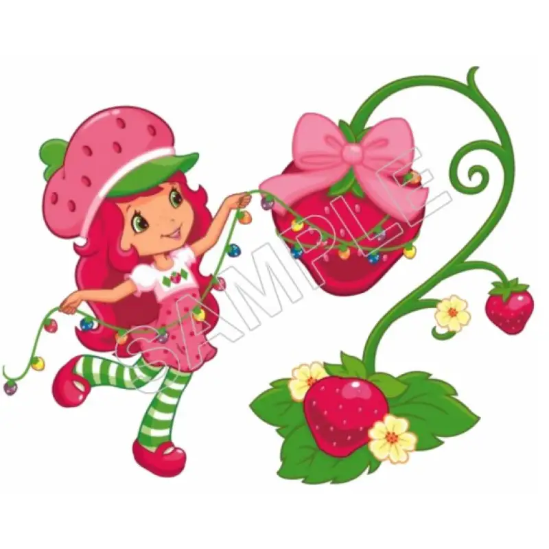 Strawberry Shortcake  T Shirt Iron on Transfer Decal #31