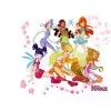 Winx Club  Fairy T Shirt Iron on Transfer Decal #97