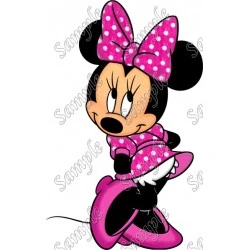 Minnie Mouse Pink Dress  T Shirt Iron on Transfer Decal #5