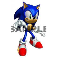 Sonic T Shirt Iron on Transfer Decal #26
