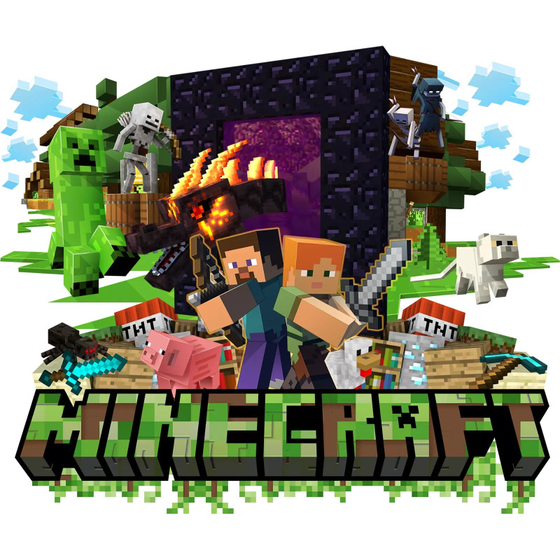 Minecraft  DTF Shirt Iron on Transfer