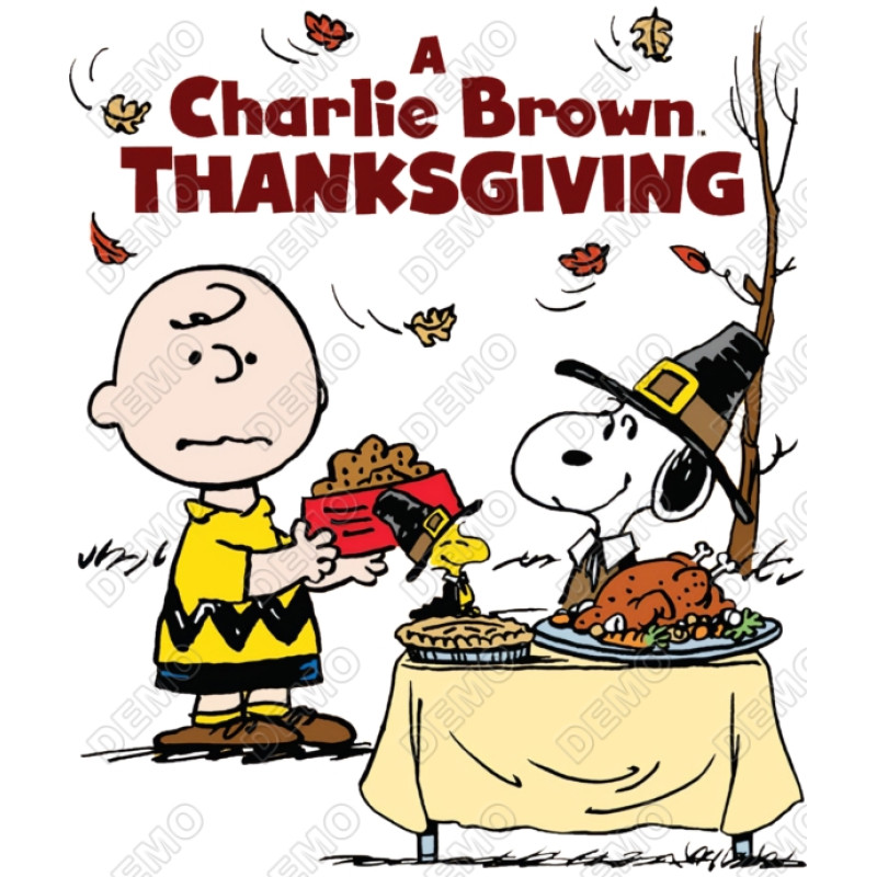 Peanuts, Snoopy, Charlie Brown Thanksgiving  T Shirt Iron on Transfer Decal #59