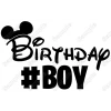 Birthday  #Squad  Minnie Mickey Girl  T Shirt Iron on Transfer Decal