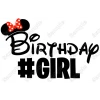 Birthday  #Squad  Minnie Mickey Girl  T Shirt Iron on Transfer Decal