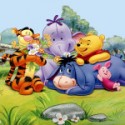 Winnie the Pooh