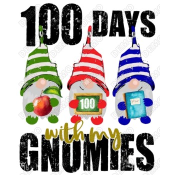 100 Days of School Gnomes T Shirt Iron on Transfer Decal 