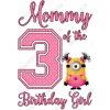 Despicable Me  Birthday Family Member  Personalized Custom T Shirt Iron on Transfer Decal