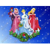 Disney princess  Christmas  T Shirt Iron on Transfer  Decal #56