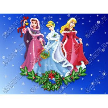 Disney princess  Christmas  T Shirt Iron on Transfer  Decal #56