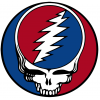 Jerry Garcia Grateful Dead Steal Your Face T Shirt Iron on Transfer  Decal 