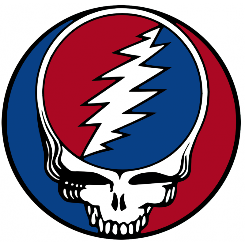 Jerry Garcia Grateful Dead Steal Your Face T Shirt Iron on Transfer  Decal