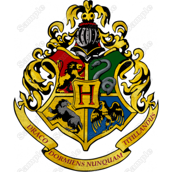 Harry Potter  Hogwarts  T Shirt Iron on Transfer Decal #2