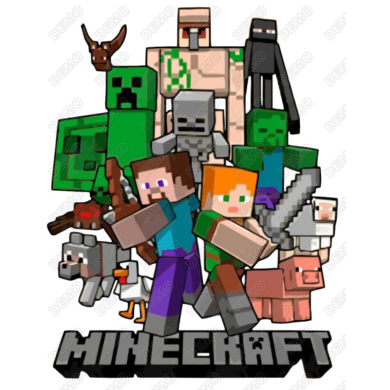 Minecraft  T Shirt Iron on Transfer