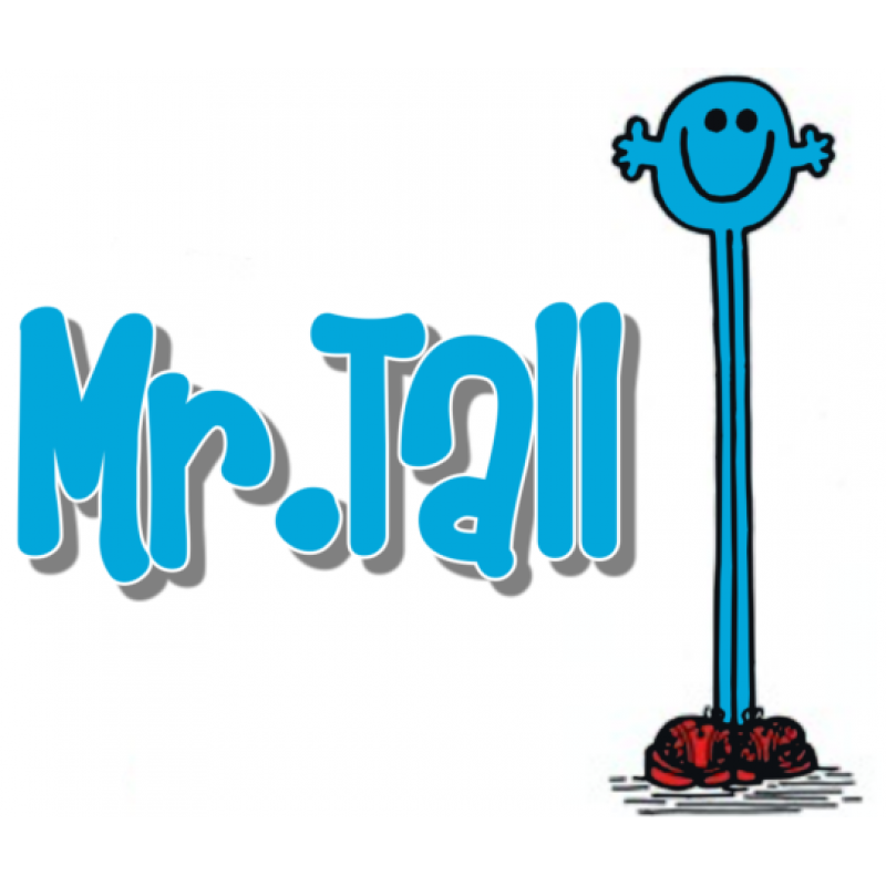 Mr Men and Little Miss Mr. Tall  T Shirt Iron on Transfer Decal #20