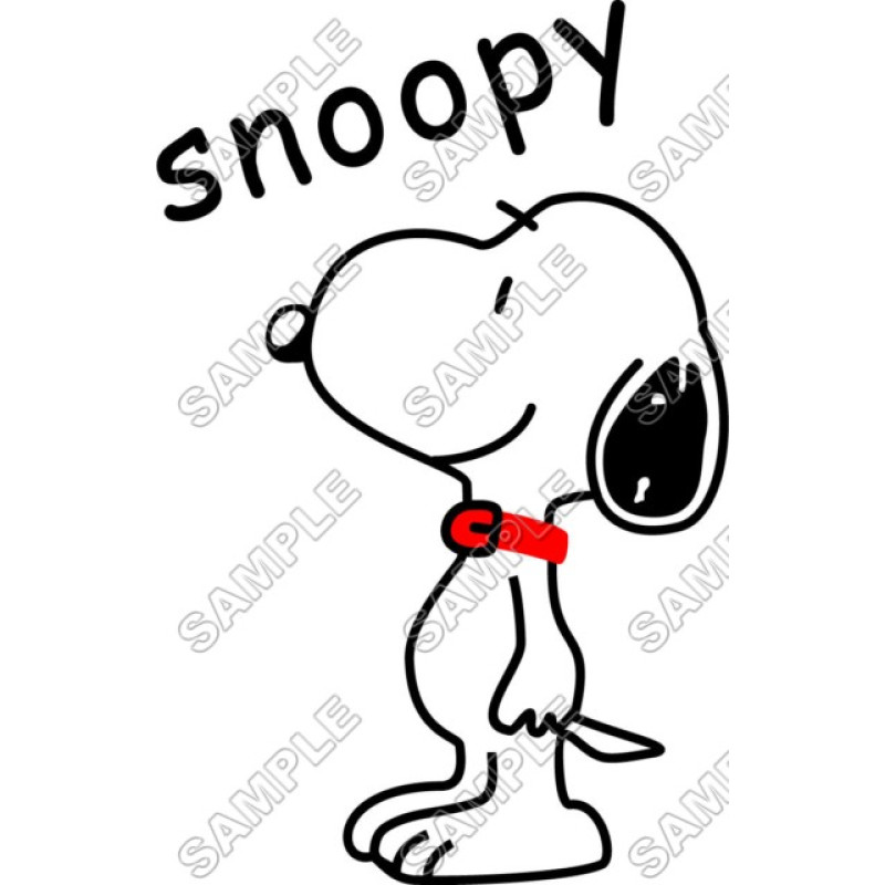 Peanuts, Snoopy, Charlie Brown   T Shirt Iron on Transfer Decal #4