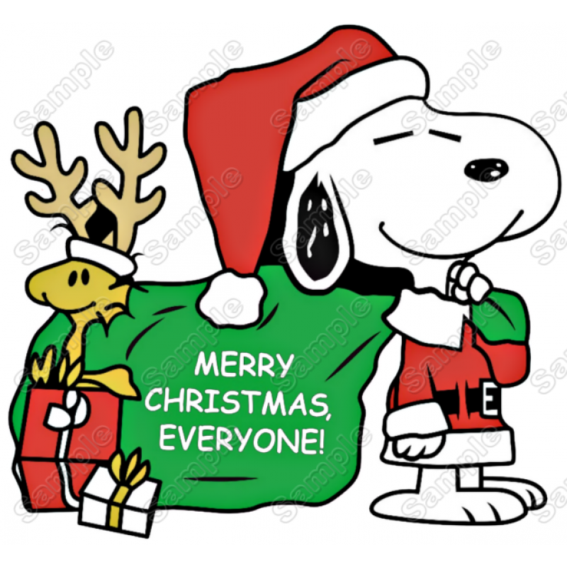 Merry Christmas Peanuts  T Shirt Heat Iron on Transfer Decal