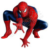 Spider Man  T Shirt Iron on Transfer  Decal  #10