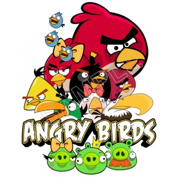 Angry Birds  T Shirt Iron on Transfer Decal #69