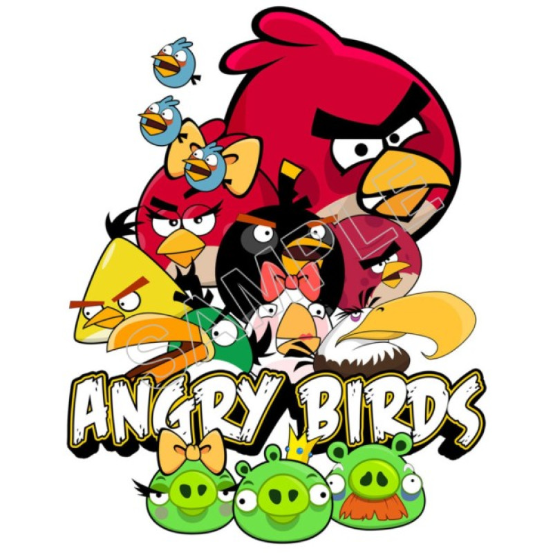 Angry Birds  T Shirt Iron on Transfer Decal #69