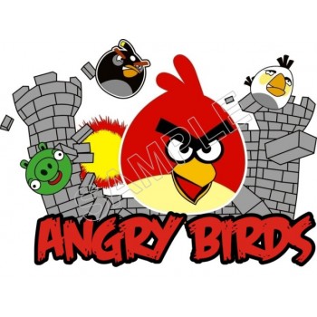 Angry Birds  T Shirt Iron on Transfer Decal #77