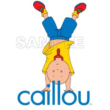 Caillou T Shirt Iron on Transfer Decal #18