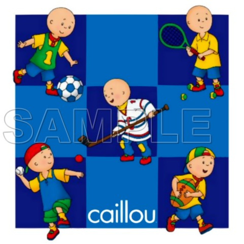 Caillou T Shirt Iron on Transfer Decal #19