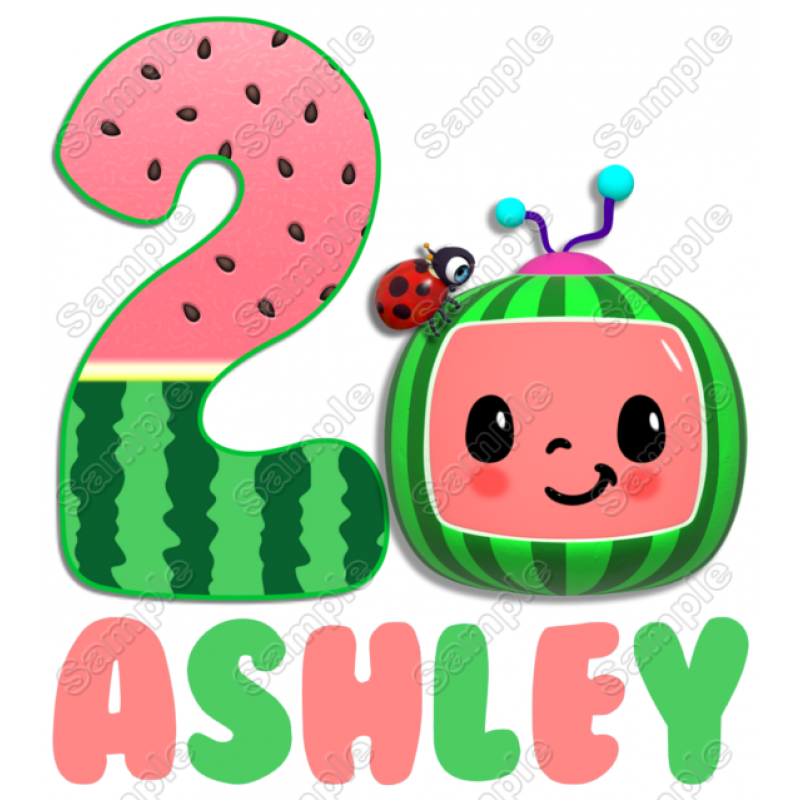 Cocomelon Watermelon  Birthday Custom  T Shirt Iron on Transfer Decal