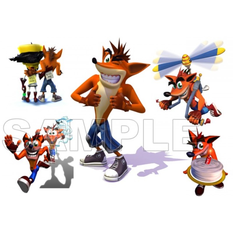 Crash Bandicoot T Shirt Iron on Transfer Decal #1