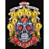 Day of the Dead  Día de Muertos Skull T Shirt Iron on Transfer Decal #4