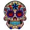 Day of the Dead  Día de Muertos Skull T Shirt Iron on Transfer Decal #7