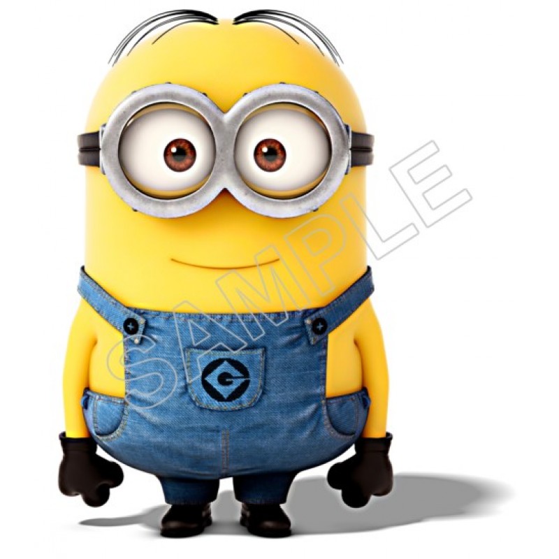 Despicable Me Minion   T Shirt Iron on Transfer  Decal  #62