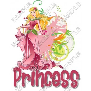 Disney Princess Aurora  T Shirt Iron on Transfer Decal #19