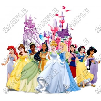 Disney Princess Castle T Shirt Iron on Transfer Decal #16