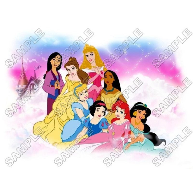 Disney Princess T Shirt Iron on Transfer Decal #14