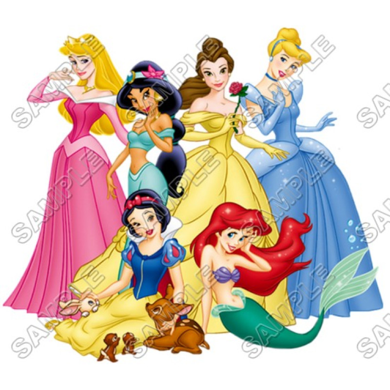 Disney Princess T Shirt Iron on Transfer Decal #18