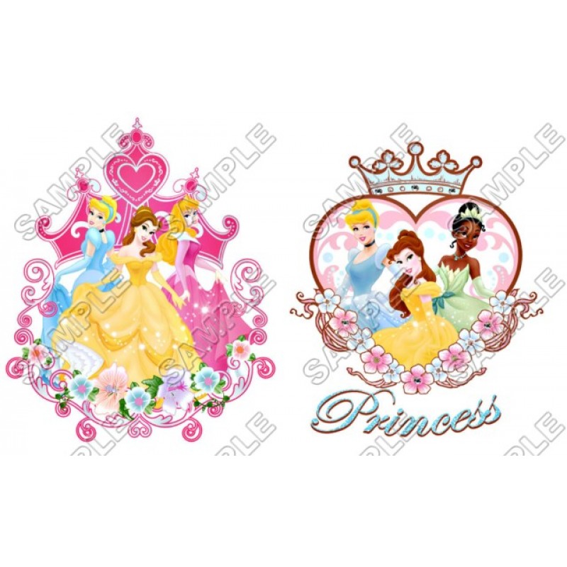 Disney Princess T Shirt Iron on Transfer Decal #33