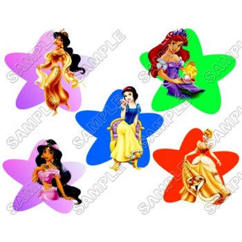 Disney Princess T Shirt Iron on Transfer Decal #35