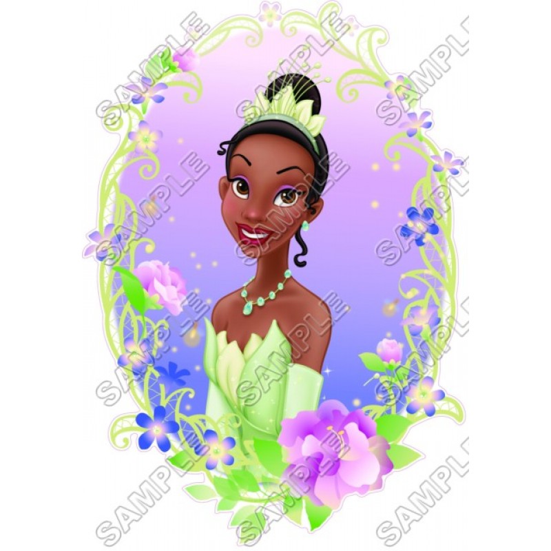 Disney Princess Tiana  T Shirt Iron on Transfer Decal #8