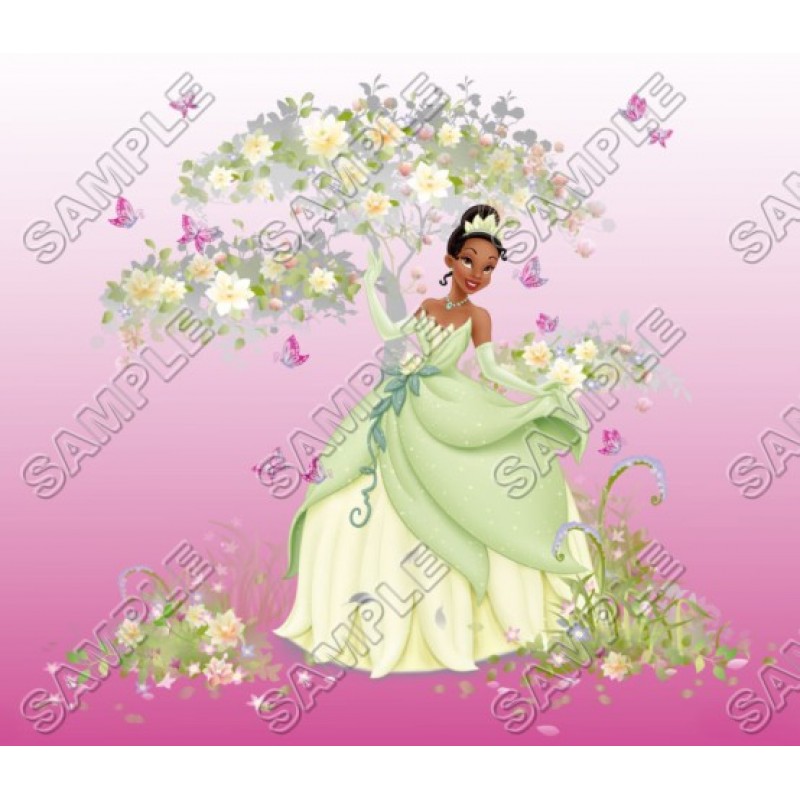 Disney Princess Tiana T Shirt Iron on Transfer Decal #9