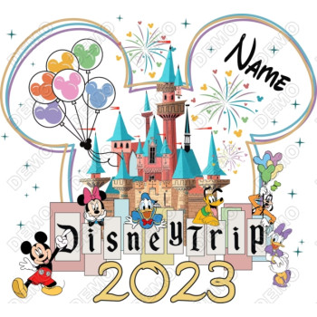 Disney Trip  Vacation Custom Name T Shirt Iron on Transfer Decal 