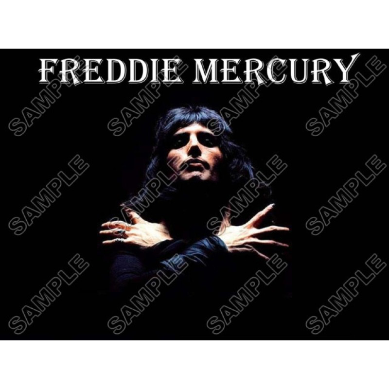 Freddie Mercury Queen  T Shirt Iron on Transfer  Decal  #2