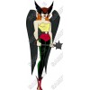 Hawkgirl Super Heroes T  Shirt Iron on Transfer Decal #3