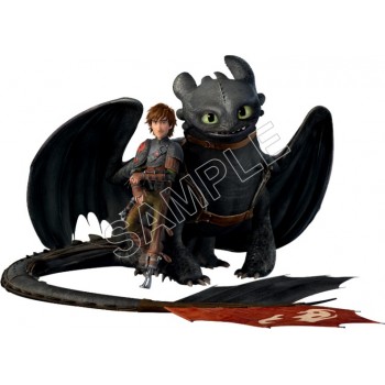 How to Train  Your  Dragon  T Shirt Iron on Transfer Decal #5