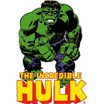 Hulk  T Shirt Iron on Transfer Decal #1